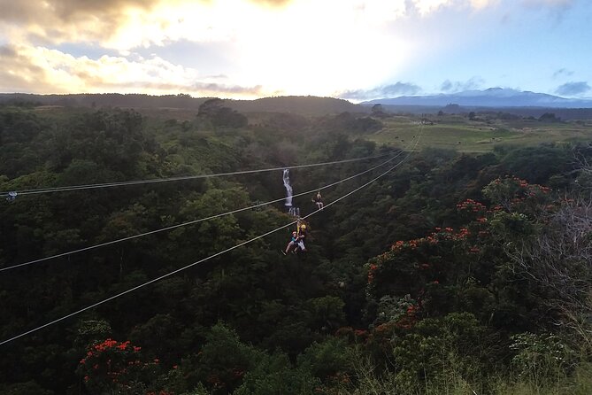 Big Island Zipline Adventure - Zipline Experience