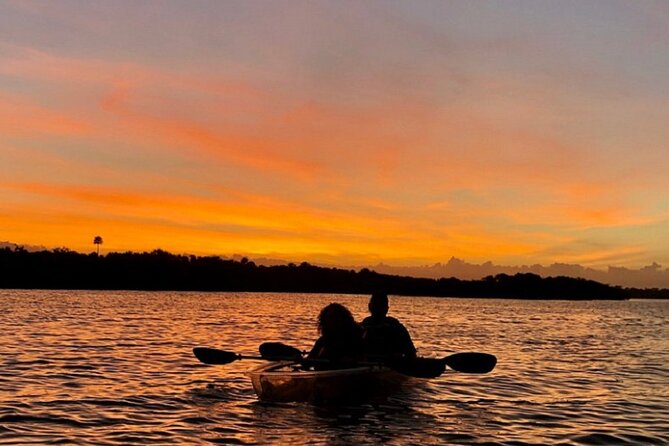 Bioluminescence Kayak Tour - Discovering Marine Life Beneath the Glowing Waters