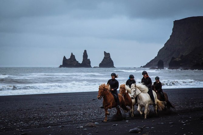 Black Sand Beach Horse Riding Tour From Vik - Meeting and Logistics