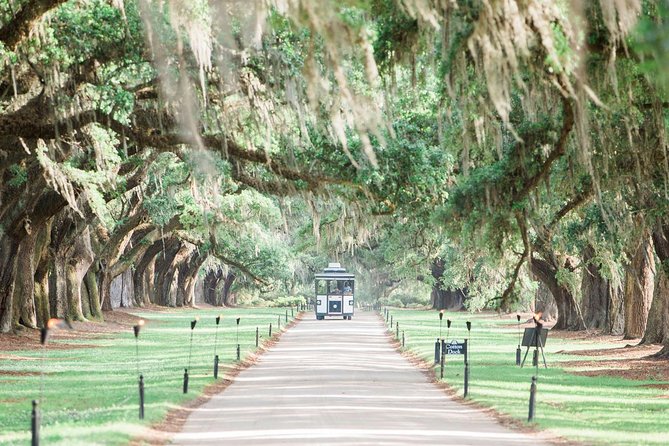 Boone Hall Plantation All-Access Admission Ticket - Admission and Tour Details