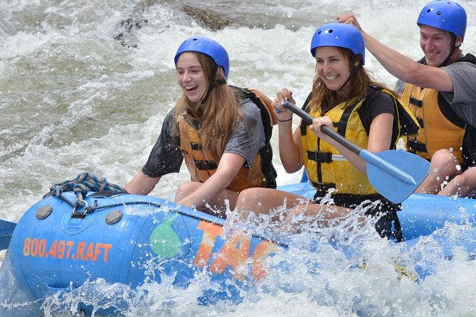 Browns Canyon Intermediate Rafting Trip Half Day - Experience Details