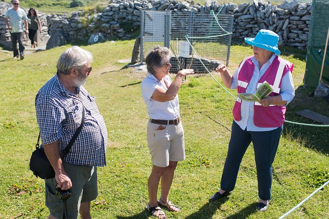 Caherconnell Fort & Sheepdog Demonstrations - Witnessing the Captivating Sheepdog Demonstrations