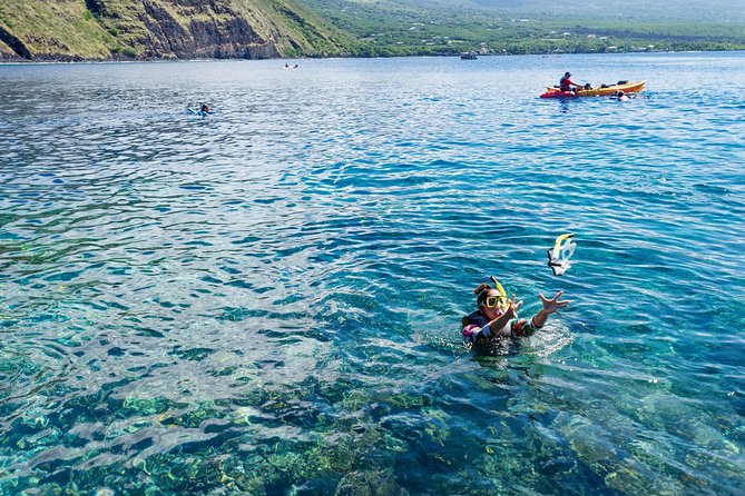 Captain Cook Snorkel On A Power Catamaran With Lunch - Snorkeling and Wildlife Encounters