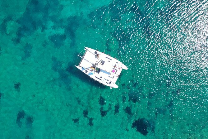 Catamaran Excursions in the Asinara Island National Park - Snorkeling and Spotting Local Wildlife