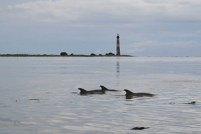 Charleston Eco Boat Cruise With Stop at Morris Island Lighthouse - Discovering the Uninhabited Morris Island