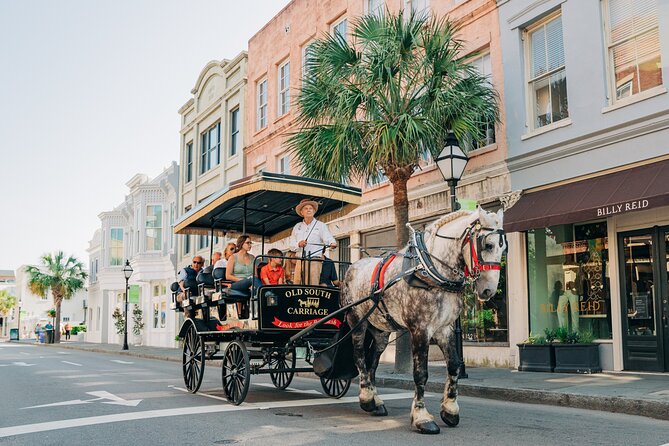 Charleston's Old South Carriage Historic Horse & Carriage Tour - Customer Feedback and Recommendations