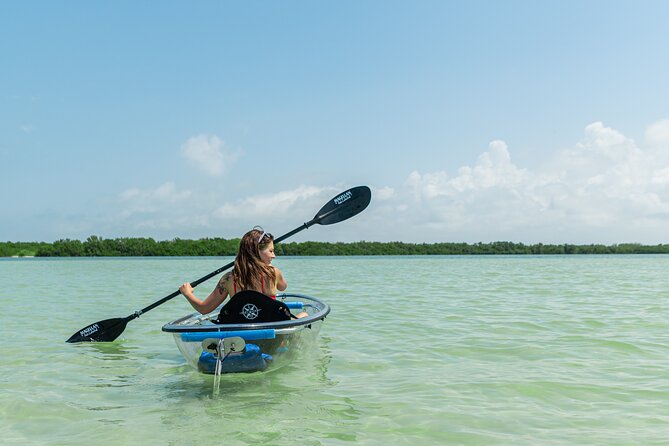 Clear Kayak Tour of Shell Key Preserve and Tampa Bay Area - Kayaking Through Clear Waters