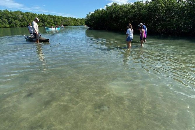 Clear Kayak Tours in Fort Pierce - Equipment and Safety