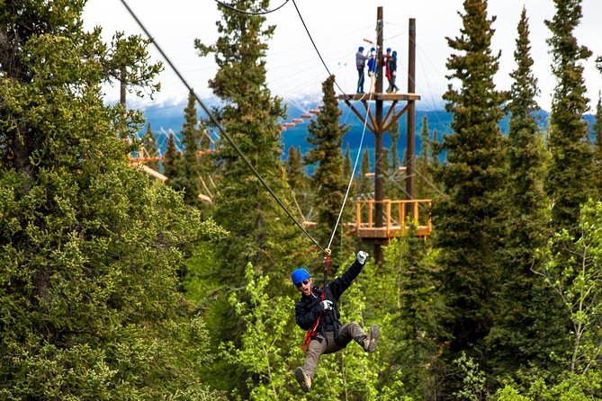 Denali Park Zipline Adventure - Exploring the Alaskan Wilderness by Aerial Adventure