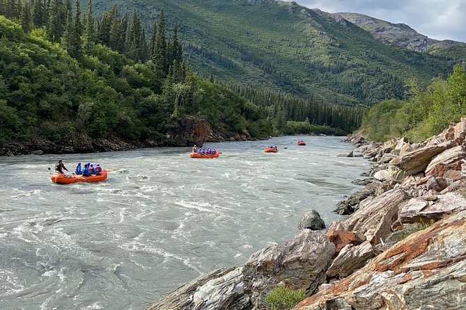 Denali Rafting Wilderness Wave - Navigating the Nenana Rivers Rapids