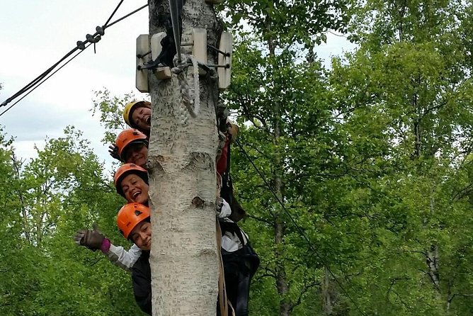 Denali Zipline Tour in Talkeetna, AK - Safety and Accessibility