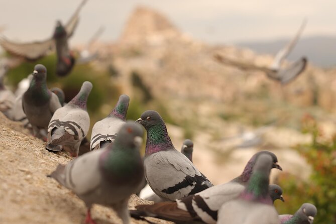 Discover Cappadocia: Private Day Tour With Expert Local Guides - Taking in the Rich History and Culture