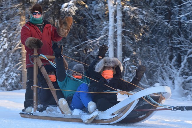 Dog Sledding and Mushing Experience in North Pole - Meeting at the Mushing Outpost