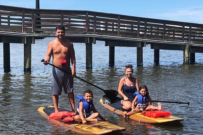 Dolphin and Manatee Stand Up Paddleboard Tour in Daytona Beach - Experience Highlights