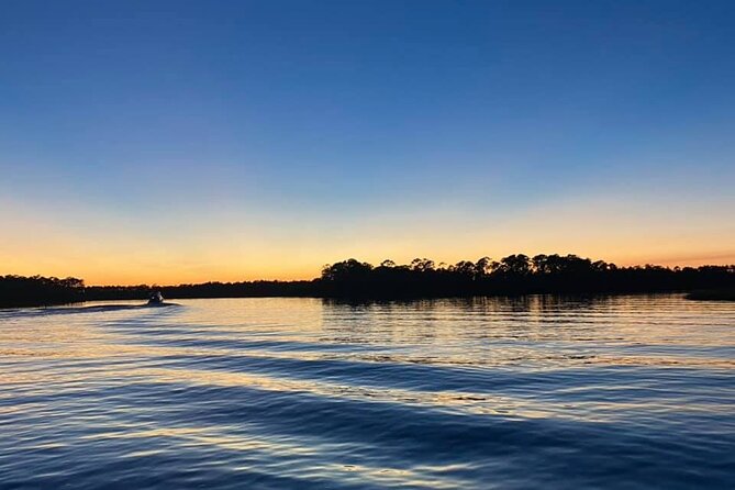 Dolphin and Nature Sunset Cruise From Orange Beach - Cruise Highlights