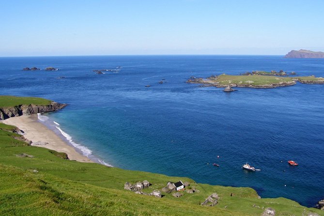 Dolphin and Whale Watching Tour From Dingle - Wildlife Sightings