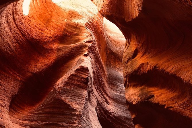 East Zion 4 Hour Slot Canyon Canyoneering UTV Tour - Engaging Activities