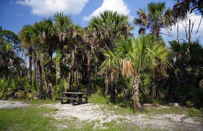 Everglades National Park Biologist Led Adventure: Cruise, Hike + Airboat - Cruising Through the Ten Thousand Islands