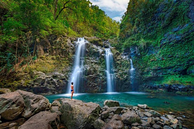 Famous Road to Hana Waterfalls and Lunch by Mercedes Van - Tour Inclusions and Food Options