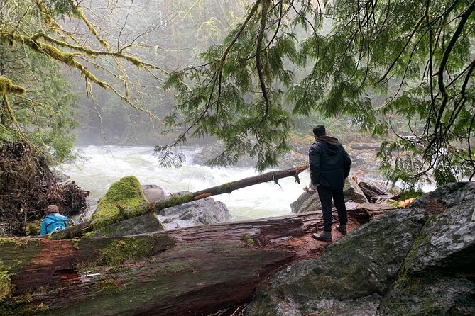 Forest Hike to Gorgeous Twin and Snoqualmie Falls - Waterfalls Exploration