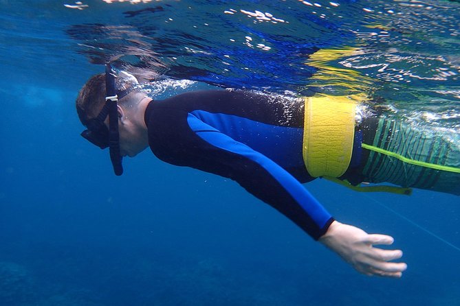 Four Winds Molokini Snorkeling Tour From Maalaea Harbor - What to Expect