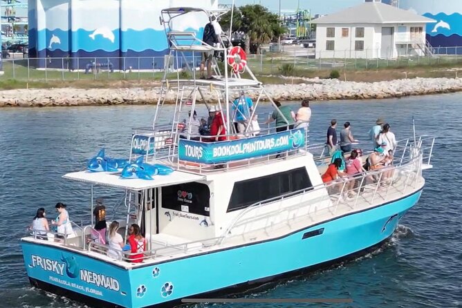 Frisky Mermaid Public Dolphin + Sightseeing Cruise Up to 49 Pax - Impressive Reviews and Ratings