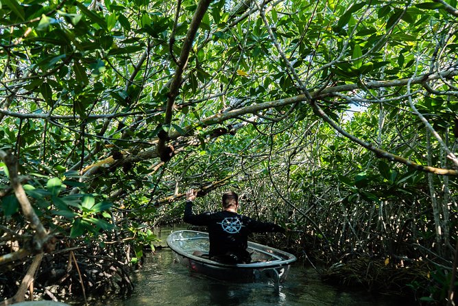 Guided Clear Kayak Eco-Tour Near Key West - Wildlife and Ecology