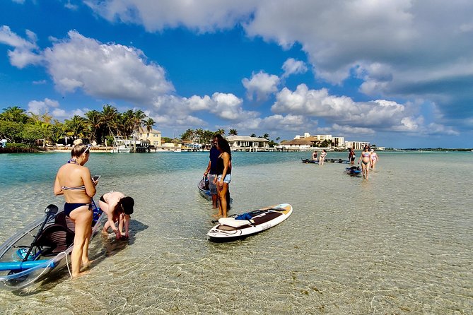 Guided Clear Kayak Eco-Tour of Jupiter - Wildlife and Ecosystem Exploration