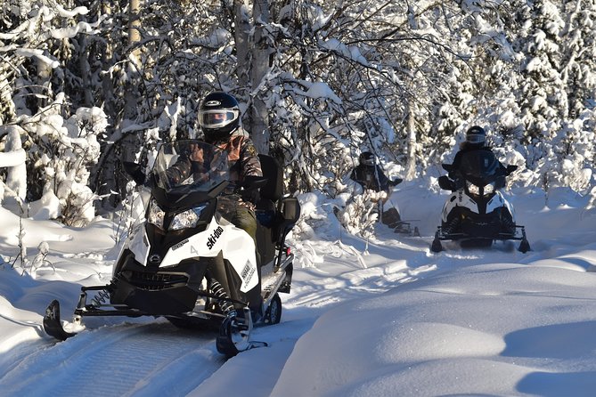 Guided Fairbanks Snowmobile Tour - Customer Feedback