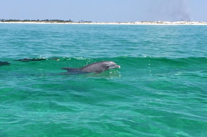 Hydrojet Dolphin Cruise in Destin FL - Pricing and Cancellation Policy