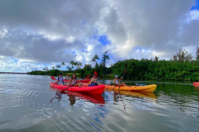 Kauai Adventure: Kayak & Hike to Secret Falls With Expert Guide - Swimming at the Falls