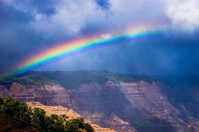 Kauai Waimea Canyon and Kokee Tour - Discovering Kokee State Park