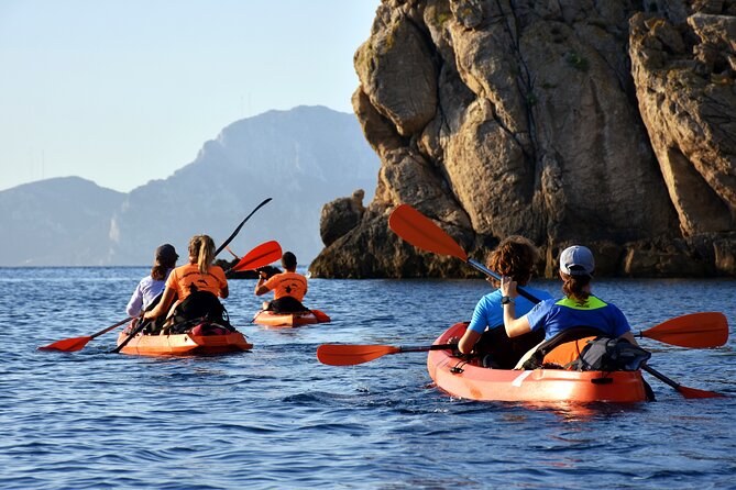 Kayak Tour With Aperitif and Dolphins - Meeting Point and Logistics