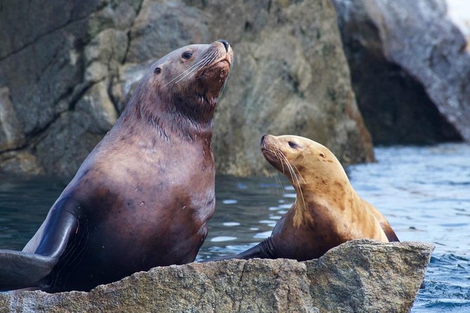 Kenai Fjords National Park Glacier & Wildlife Cruise - Included Amenities