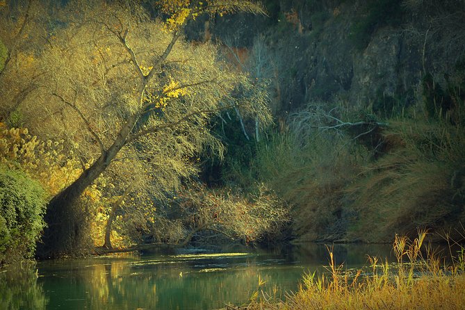 Murcia: Rafting in the Almadenes Canyon, Visit to Two Caves and Photos - Safety and Precautions