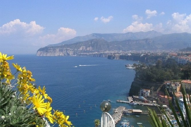 Naples Shore Excursion: Private Tour to Sorrento, Positano, and Amalfi - Transportation and Logistics