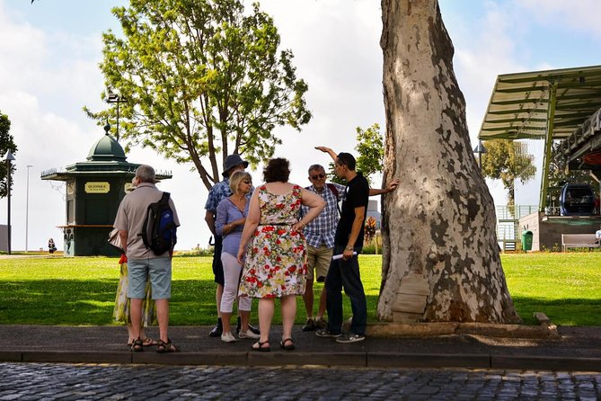 Old Funchal Walking Tour - Tour Experience and Guide Information