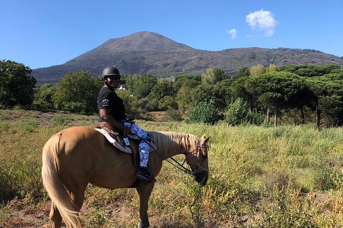 Pompeii Guided Tour & Horse Riding on Vesuvius With Lunch - Highlights of the Experience