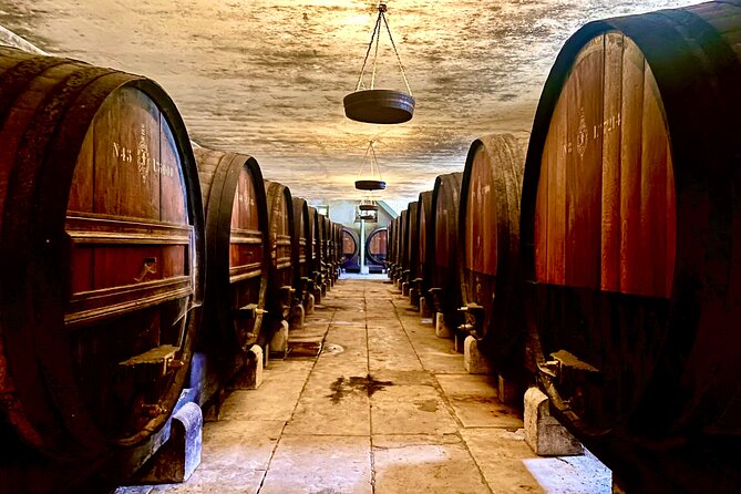 Private All-Inclusive Wine Tour in Setúbal and Arrábida - Lisbon - Meeting and Pickup Information