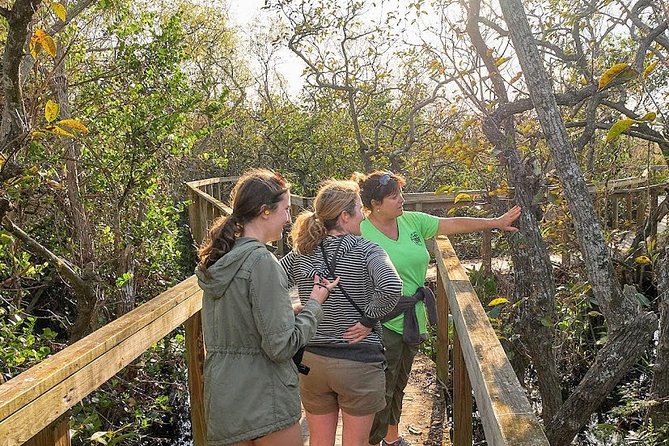 1-Hour Air Boat Ride and Nature Walk With Naturalist in Everglades National Park - Accessibility and Cancellation Policy