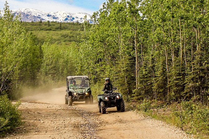 2.5-Hour Denali Wilderness ATV Adventure Tour - Customer Reviews and Feedback