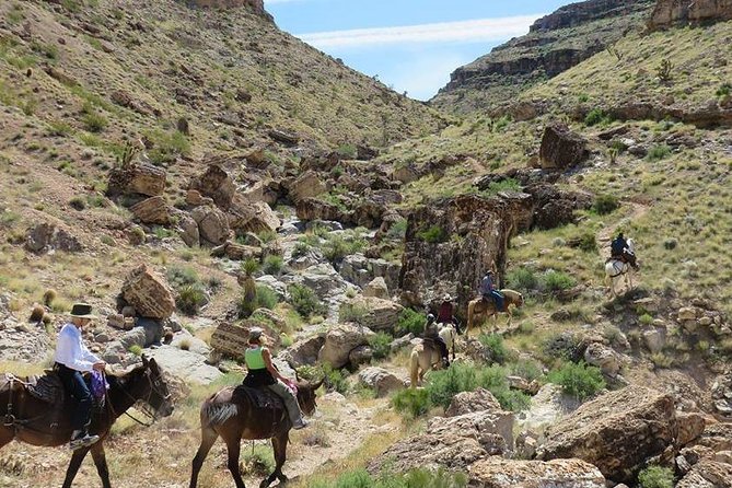 2-Hour Horseback Riding Through Red Rock Canyon - Itinerary