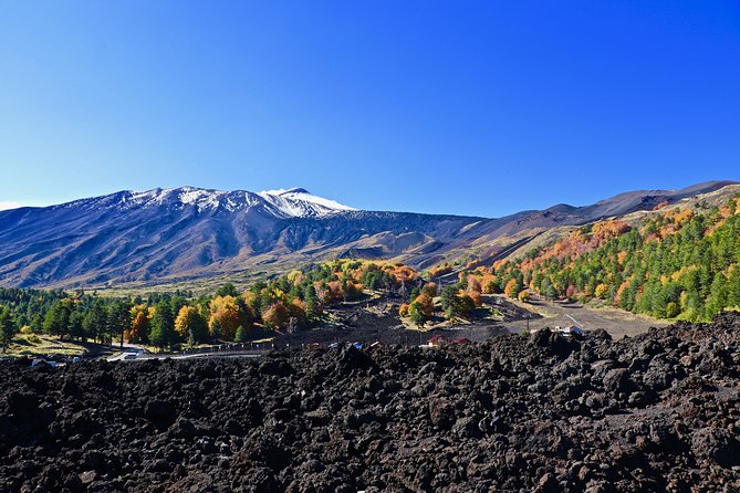 2002 Crater Excursion - Northern Etna - Health and Safety Information