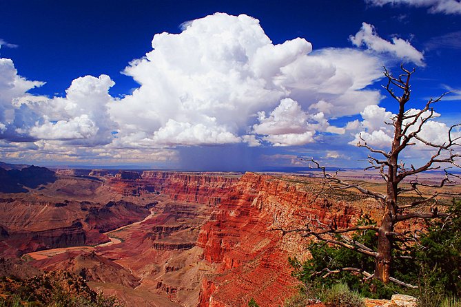 3 Hour Off-Road Sunset Safari to Grand Canyon With Entrance Gate Detour - Stops Along the Way