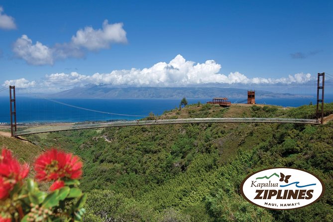 6 Dual-Zipline Mountain Adventure in Maui - Weight and Age Requirements for Zip Lining