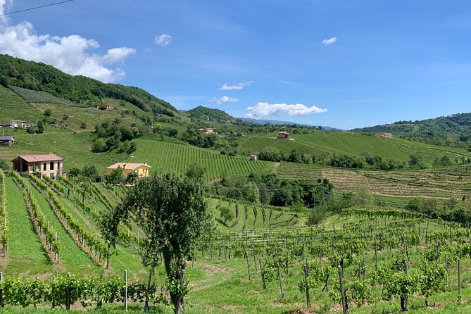 A Sparkling Day in the Prosecco Hills From Venice by Yellowboot - Transportation and Meeting Point