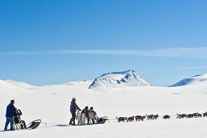 Alaska Helicopter and Glacier Dogsled Tour - ANCHORAGE AREA - Wildlife Sightings