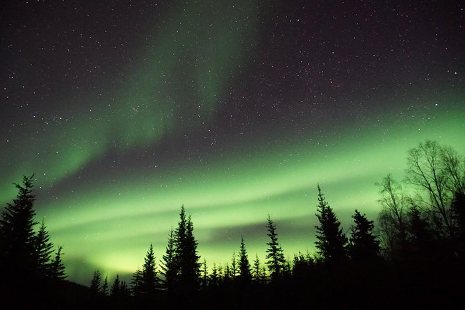 Arctic Circle and Northern Lights Tour From Fairbanks - Departure and Duration