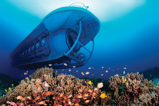 Atlantis Submarine From Kona Beach - Ensuring a Comfortable Experience