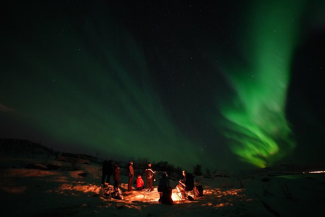 Aurora Tour - Guest Experiences and Reviews